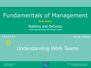 Understanding Work Teams 