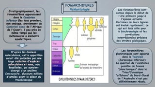 FOMARINIFERES
Paléontologie
Stratigraphiquement, les
foraminifères apparaissent
dans le Cambrien
inférieur (les tous premiers,
non ambigus, proviennent du
Cambrien basal de l'Afrique
de l'Ouest), à peu près en
même temps que les
métazoaires à éléments
squelettiques.
D'après les données
moléculaires, cette apparition
aurait été précédée par une
large
non
fossilisées, qui auraient
divergé d'un ancêtre
Cercozoaire, plusieurs millions
d'années avant le début du
Phanérozoïque
Les foraminifères
planctoniques sont apparus
dans le Toarcien
(Jurassique inférieur).
La question de l'existence
possible de taxons
"planctoniques" dans le
Trias/Jurassique
"offshore" du Nord-Ouest
de l'Australie n'est pas
définitivement résolu.
Les foraminifères sont
connus depuis le début de
l'ère primaire jusqu'à
l'époque actuelle.
Certaines de leurs lignées
ont évolué rapidement, ce
qui est très utile pour
la biochronologie et les
corrélations
interrégionales précises
des strates géologiques.
 