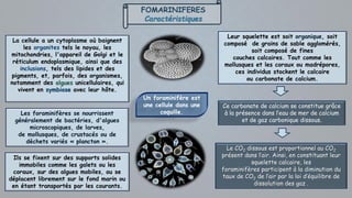 FOMARINIFERES
Caractéristiques
Ils se fixent sur des supports solides
immobiles comme les galets ou les
coraux, sur des algues mobiles, ou se
déplacent librement sur le fond marin ou
en étant transportés par les courants.
Les foraminifères se nourrissent
généralement de bactéries, d'algues
microscopiques, de larves,
de mollusques, de crustacés ou de
déchets variés « plancton ».
La cellule a un cytoplasme où baignent
les organites tels le noyau, les
mitochondries, l'appareil de Golgi et le
réticulum endoplasmique, ainsi que des
inclusions, tels des lipides et des
pigments, et, parfois, des organismes,
notamment des algues unicellulaires, qui
vivent en symbiose avec leur hôte.
Un foraminifère est
une cellule dans une
coquille.
Leur squelette est soit organique, soit
composé de grains de sable agglomérés,
soit composé de fines
couches calcaires. Tout comme les
mollusques et les coraux ou madrépores,
ces individus stockent le calcaire
ou carbonate de calcium.
Ce carbonate de calcium se constitue grâce
à la présence dans l’eau de mer de calcium
et de gaz carbonique dissous.
Le CO2 dissous est proportionnel au CO2
présent dans l’air. Ainsi, en constituant leur
squelette calcaire, les
foraminifères participent à la diminution du
taux de CO2 de l’air par la loi d’équilibre de
dissolution des gaz .
 