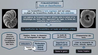 FOMARINIFERES
Tests et Classification
Les foraminifères à tests organiques sont mal connus.
La plupart des foraminifères étudiés ont des tests minéralisés.
Les espèces de foraminifères sont définies selon la nature et la
morphologie des tests, tels l'agencement des loges, la forme des
ouvertures ou l'ornementation.
La classification des foraminifères est basée sur plusieurs critères
Nature,
structure
chimique et
l’arrangement
moléculaire
des tests
Ornementation des
tests
Le mode de
perforation
Nombre, forme, la dimension
et l’arrangement des loges
Uniloculaire Pluriloculaire
-Unistrié
-Bistrié
-Tristrié
Nombre de
rangée
Imperforés ou
plusieurs pores
Lisse ou recouverte de
stries, réticule, épines, …
Donne le genre Donne l’espèce
 