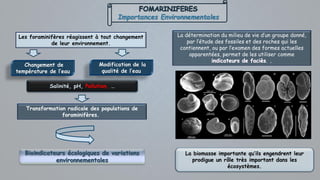 Importances Environnementales
Les foraminifères réagissent à tout changement
de leur environnement.
Transformation radicale des populations de
foraminifères.
Salinité, pH, Pollution, …
La détermination du milieu de vie d’un groupe donné,
par l’étude des fossiles et des roches qui les
contiennent, ou par l’examen des formes actuelles
apparentées, permet de les utiliser comme
...
Changement de
température de l’eau
Modification de la
qualité de l’eau
La biomasse importante qu’ils engendrent leur
prodigue un rôle très important dans les
écosystèmes.
 