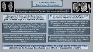 FOMARINIFERES
Importances Géologiques
Les foraminifères intéressent particulièrement les micropaléontologues
et les géologues en raisons de leur très bons fossiles stratigraphiques
Ils ont une extension chronostratigraphique allant
du Cambrien inférieur à l'époque actuelle
Les fossiles de tests sont abondants dans les
sédiments marins et constituent un indice précieux
quant à la nature, l'âge et la localisation de la roche.
Apparues au Cambrien les formes benthiques ont été
accompagnées de formes planctoniques à partir du
Jurassique Supérieur, il y a environ 150 MA.
Les foraminifères planctoniques sont d'excellents fossiles
stratigraphiques du Crétacé jusqu'à l'époque actuelle, en
raison de leur grande dispersion et de la rapidité de leur
évolution. C'est pourquoi ils sont un outil
biostratigraphique de premier choix
Les premières formes apparues ont des tests
organiques ou de simples tubes agglutinés.
Les espèces sont rares jusqu'au Dévonien.
D'après la répartition des foraminifères planctoniques, le
Cénozoïque est aujourd'hui divisé en une quarantaine de
zones d'une durée moyenne de 1,75 Ma, comme dans le
Crétacé.
Une rapide explosion évolutive eu lieu dès la base du
Cénozoïque avec l'apparition de morphotypes rappelant
les formes planctoniques actuelles.
 