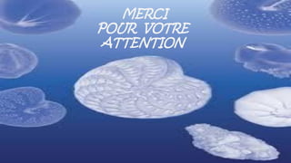 MERCI
POUR VOTRE
ATTENTION
 