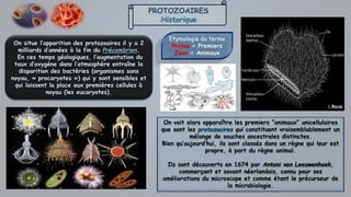 PROTOZOAIRES
Historique
Etymologie du terme
Protos = Premiers
Zoon = Animaux
On situe l’apparition des protozoaires il y a 2
milliards d’années à la fin du Précambrien.
En ces temps géologiques, l’augmentation du
taux d’oxygène dans l’atmosphère entraîne la
disparition des bactéries (organismes sans
noyau, « procaryotes ») qui y sont sensibles et
qui laissent la place aux premières cellules à
noyau (les eucaryotes).
On voit alors apparaître les premiers “animaux” unicellulaires
que sont les protozoaires qui constituent vraisemblablement un
mélange de souches ancestrales distinctes.
Bien qu’aujourd’hui, ils sont classés dans un règne qui leur est
propre, à part du règne animal.
Ils sont découverts en 1674 par Antoni van Leeuwenhoek,
commerçant et savant néerlandais, connu pour ses
améliorations du microscope et comme étant le précurseur de
la microbiologie.
 