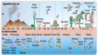 Classification des êtres vivants
Depuis l'antiquité, les scientifiques ont tenté de faire une classification des êtres viv...