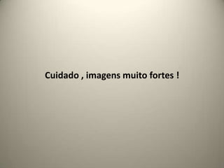 Cuidado , imagens muito fortes !
