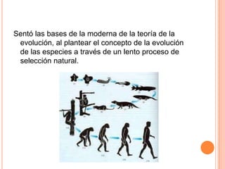 Sentó las bases de la moderna de la teoría de la evolución, al plantear el concepto de la evolución de las especies a través de un lento proceso de selección natural.