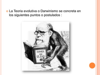 La Teoria evolutiva o Darwinismo se concreta en los siguientes puntos o postulados :