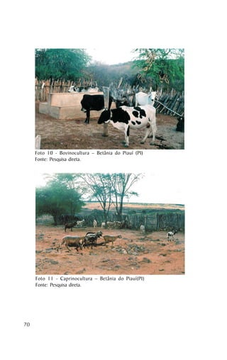Foto 10 - Bovinocultura – Betânia do Piauí (PI)
     Fonte: Pesquisa direta.




     Foto 11 - Caprinocultura – Betânia do Piauí(PI)
     Fonte: Pesquisa direta.




70
 
