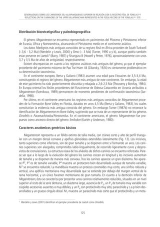 Distribución bioestratigráfica y paleobiogeográfica
El género Megantereon se encuentra representado en yacimientos del Plioceno y Pleistoceno inferior
de Eurasia, África y Norteamérica, alcanzando el Pleistoceno medio en el continente asiático.
Los datos fidedignos más antiguos conocidos de su registro fósil en África proceden de South Turkwell
(~3,6 - 3,2 Ma) (Werdelin y Lewis, 2000) y Omo (~ 3 Ma) (Turner, 1990 a y b), aunque podría también
estar presente en Laetoli1 (Barry, 1987) y Shungura B (Howell y Petter, 1976), aproximadamente con unos
3,7 y 3,5 Ma de años de antigüedad, respectivamente.
Existen discrepancias en cuanto a los registros asiáticos más antiguos del género, ya que el ejemplar
procedente del yacimiento mioceno de Pao Tse Hsien 44 (Zdansky, 1924) es ciertamente problemático en
su determinación taxonómica.
En el continente europeo, Berta y Galiano (1983) asumen una edad para Etouaires de 3,5-3,4 Ma,
constituyendo el registro del género Megantereon más antiguo de este continente. Sin embargo, la edad
de este yacimiento ha sido posteriormente discutida y rebajada a 2,6-2,5 Ma (Thouveny y Bonifay, 1984).
En Europa oriental los fósiles procedentes del Rusciniense de Odessa Catacombs en Ucrania atribuidos a
Megantereon (Sotnikova, 1989) permanecen de momento pendientes de confirmación taxonómica (Sar-
della, 1998).
Por último, en el continente americano los registros más antiguos conocidos de Megantereon proce-
den de la Formación Bone Valley en Florida, datados en unos 4,5 Ma (Berta y Galiano, 1983), los cuales
constituirían la evidencia más antigua conocida del género. Sin embargo Turner (1987b) no reconoce la
identificación de Megantereon en Bone Valley, sugiriendo que se trata de un representante de los géneros
Dinofelis o Paramachirodus/Pontosmilus. En el continente americano, el género Megantereon fue pro-
puesto como ancestro directo del género Smilodon (Kurtén y Anderson, 1980).
Caracteres anatómicos genéricos básicos
Megantereon representa a un félido extinto de talla media, con cráneo corto y alto de perfil triangu-
lar con un margen dorsal convexo y apófisis glenoideas extendidas lateralmente (Fig. 12). Los incisivos,
tanto superiores como inferiores, son de gran tamaño y se disponen entre sí formando un arco. Los cani-
nos superiores son alargados, comprimidos labio-lingualmente, de recorrido ligeramente curvo y despro-
vistos de crenulaciones. La estructura ósea de los alvéolos de dichos caninos se encuentra reforzada. Pare-
ce ser que a lo largo de la evolución del género los caninos crecen en longitud y los incisivos aumentan
de tamaño y se disponen de manera más convexa. Tras los caninos aparece un gran diastema. No apare-
ce P2, P3 es de tamaño variable, P4 muestra un protocono bien desarrollado aunque de tamaño variable,
M1 se encuentra reducido. La mandíbula muestra un proceso coronoides muy corto, una sínfisis robusta y
vertical, una apófisis mentoniana muy desarrollada que se extiende por debajo del margen ventral de la
rama horizontal, y un único foramen mentoniano de gran tamaño. En cuanto a la dentición inferior de
Megantereon, ésta se caracteriza por presentar unos caninos relativamente reducidos, situados en un nivel
superior al resto de la serie dentaria, un diastema largo, ausencia de P2, un P3 de tamaño muy variable con
cúspides accesorias ausentes o muy débiles, y un P4 con protocónido muy alto, paracónido y c.a.p bien des-
arrollados y un grueso cíngulo distal. M1 muestra un paracónido más corto que el protocónido y un meta-
125
GENERALIDADES SOBRE LOS CARNÍVOROS DEL VILLAFRANQUIENSE SUPERIOR EN RELACIÓN CON EL REGISTRO FÓSIL DE FONELAS P-1
REFLECTIONS ON THE CARNIVORES OF THE UPPER VILLAFRANCHIAN REPRESENTED IN THE FOSSIL RECORD OF THE FONELAS P-1 SITE
1 Werdelin y Lewis (2001) identifican el ejemplar procedente de Laetoli como Dinofelis.
05 12/6/08 07:34 Página 125
 