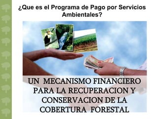 ¿Que es el Programa de Pago por Servicios
              Ambientales?




   UN MECANISMO FINANCIERO
    PARA LA RECUPERACION Y
      CONSERVACION DE LA
     COBERTURA FORESTAL
 