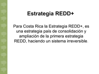 Estrategia REDD+

Para Costa Rica la Estrategia REDD+, es
 una estrategia país de consolidación y
   ampliación de la primera estrategia
REDD, haciendo un sistema irreversible.
 