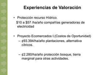 Experiencias de Valoración

• Protección recurso Hídrico.
  $10 a $57 /ha/año compañías generadoras de
   electricidad

• Proyecto Ecomercados I.(Costos de Oportunidad)
   – ¢93.394/ha/año plantaciones, alternativa
     cítricos.

   – ¢2.280/ha/año protección bosque, tierra
     marginal para otras actividades.
 