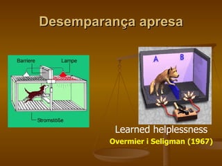 Desemparança apresa Learned helplessness Overmier i Seligman (1967) 