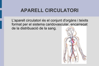 APARELL CIRCULATORI
L'aparell circulatori és el conjunt d'orgàns i teixits
format per el sistema caridovascular, encarregat
de la distribuació de la sang.

 