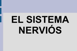 EL SISTEMA
NERVIÓS

 