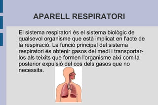 APARELL RESPIRATORI
El sistema respiratori és el sistema biològic de
qualsevol organisme que està implicat en l'acte de
la respiració. La funció principal del sistema
respiratori és obtenir gasos del medi i transportarlos als teixits que formen l'organisme així com la
posterior expulsió del cos dels gasos que no
necessita.

 