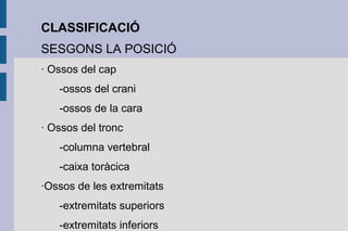 CLASSIFICACIÓ
SESGONS LA POSICIÓ
· Ossos del cap
-ossos del crani
-ossos de la cara
· Ossos del tronc
-columna vertebral
-caixa toràcica
·Ossos de les extremitats
-extremitats superiors
-extremitats inferiors

 