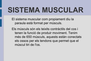 SISTEMA MUSCULAR
El sistema muscular com propiament diu la
paraula està format per músculs.
Els músculs són els teixits contràctils del cos i
tenen la funció de produir moviment. Tenim
més de 650 músculs, aquests estàn conectats
els ossos per els tendons que permet que el
múscul tiri de l'os.

 