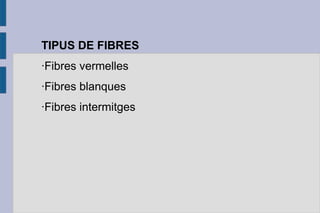 TIPUS DE FIBRES
·Fibres vermelles
·Fibres blanques
·Fibres intermitges

 