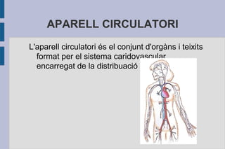 APARELL CIRCULATORI
L'aparell circulatori és el conjunt d'orgàns i teixits
format per el sistema caridovascular,
encarregat de la distribuació de la sang.

 