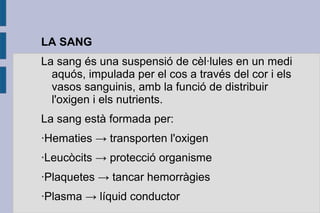 LA SANG
La sang és una suspensió de cèl·lules en un medi
aquós, impulada per el cos a través del cor i els
vasos sanguinis, amb la funció de distribuir
l'oxigen i els nutrients.
La sang està formada per:
·Hematies → transporten l'oxigen
·Leucòcits → protecció organisme
·Plaquetes → tancar hemorràgies
·Plasma → líquid conductor

 