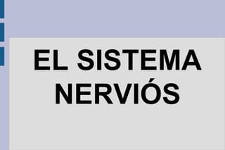 EL SISTEMA
NERVIÓS

 