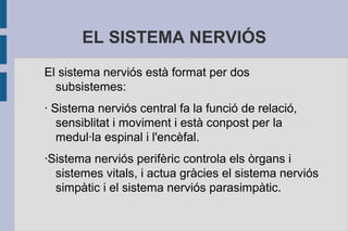 EL SISTEMA NERVIÓS
El sistema nerviós està format per dos
subsistemes:
· Sistema nerviós central fa la funció de relació,
sensiblitat i moviment i està conpost per la
medul·la espinal i l'encèfal.
·Sistema nerviós perifèric controla els òrgans i
sistemes vitals, i actua gràcies el sistema nerviós
simpàtic i el sistema nerviós parasimpàtic.

 
