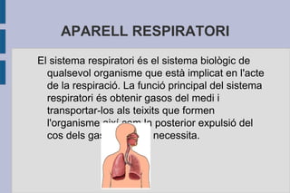 APARELL RESPIRATORI
El sistema respiratori és el sistema biològic de
qualsevol organisme que està implicat en l'acte
de la respiració. La funció principal del sistema
respiratori és obtenir gasos del medi i
transportar-los als teixits que formen
l'organisme així com la posterior expulsió del
cos dels gasos que no necessita.

 