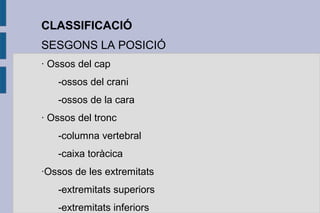 CLASSIFICACIÓ
SESGONS LA POSICIÓ
· Ossos del cap
-ossos del crani
-ossos de la cara
· Ossos del tronc
-columna vertebral
-caixa toràcica
·Ossos de les extremitats
-extremitats superiors
-extremitats inferiors

 
