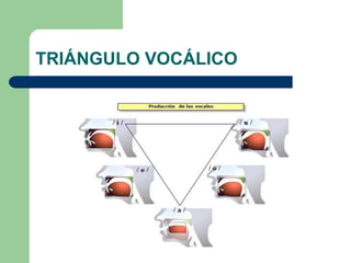 TRIÁNGULO VOCÁLICO
 