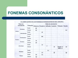 FONEMAS CONSONÁNTICOS
 