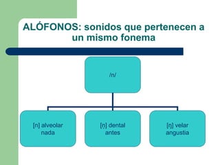 ALÓFONOS: sonidos que pertenecen a
un mismo fonema
/n/
[n] alveolar
nada
[ņ] dental
antes
[ŋ] velar
angustia
 