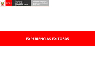 EXPERIENCIAS EXITOSAS 