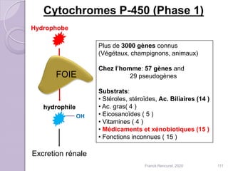 Cytochromes P-450 (Phase 1)
OH
Hydrophobe
hydrophile
Plus de 3000 gènes connus
(Végétaux, champignons, animaux)
Chez l’homme: 57 gènes and
29 pseudogènes
Substrats:
• Stéroles, stéroïdes, Ac. Biliaires (14 )
• Ac. gras( 4 )
• Eicosanoïdes ( 5 )
• Vitamines ( 4 )
• Médicaments et xénobiotiques (15 )
• Fonctions inconnues ( 15 )
Excretion rénale
111
FOIE
Franck Rencurel, 2020
 