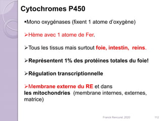 Mono oxygénases (fixent 1 atome d’oxygène)
Hème avec 1 atome de Fer.
Tous les tissus mais surtout foie, intestin, reins.
Représentent 1% des protéines totales du foie!
Régulation transcriptionnelle
Membrane externe du RE et dans
les mitochondries (membrane internes, externes,
matrice)
Cytochromes P450
112Franck Rencurel, 2020
 