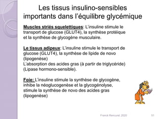 Les tissus insulino-sensibles
importants dans l’équilibre glycémique
Muscles striés squelettiques: L’insuline stimule le
transport de glucose (GLUT4), la synthèse protéique
et la synthèse de glycogène musculaire.
Le tissus adipeux: L’insuline stimule le transport de
glucose (GLUT4), la synthèse de lipide de novo
(lipogenèse)
L’absorption des acides gras (à partir de triglycéride)
(Lipase hormono-sensible).
Foie: L’insuline stimule la synthèse de glycogène,
inhibe la néoglucogenèse et la glycogénolyse,
stimule la synthèse de novo des acides gras
(lipogenèse)
51Franck Rencurel, 2020
 