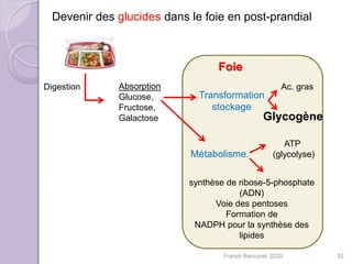 Devenir des glucides dans le foie en post-prandial
Absorption
Glucose,
Fructose,
Galactose
Transformation
stockage
Glycogène
Ac. gras
Métabolisme.
ATP
(glycolyse)
synthèse de ribose-5-phosphate
(ADN)
Voie des pentoses
Formation de
NADPH pour la synthèse des
lipides
Digestion
Foie
52Franck Rencurel, 2020
 