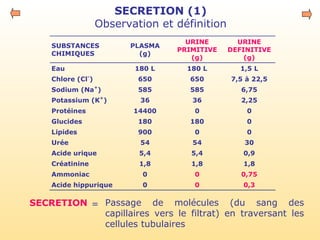 SECRETION (1)
Observation et définition
SUBSTANCES
CHIMIQUES
PLASMA
(g)
URINE
PRIMITIVE
(g)
URINE
DEFINITIVE
(g)
Eau 180 L 180 L 1,5 L
Chlore (Cl-
) 650 650 7,5 à 22,5
Sodium (Na+
) 585 585 6,75
Potassium (K+
) 36 36 2,25
Protéines 14400 0 0
Glucides 180 180 0
Lipides 900 0 0
Urée 54 54 30
Acide urique 5,4 5,4 0,9
Créatinine 1,8 1,8 1,8
Ammoniac 0 0 0,75
Acide hippurique 0 0 0,3
Passage de molécules (du sang des
capillaires vers le filtrat) en traversant les
cellules tubulaires
SECRETION =
 