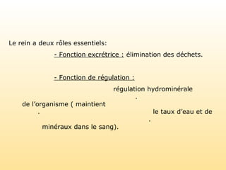 Le rein a deux rôles essentiels:
- Fonction excrétrice : élimination des déchets.
- Fonction de régulation :
régulation hydrominérale
.
de l’organisme ( maintient
. le taux d’eau et de
.
minéraux dans le sang).
 