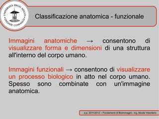 Classificazione anatomica - funzionale


Immagini anatomiche → consentono di
visualizzare forma e dimensioni di una struttura
all'interno del corpo umano.

Immagini funzionali → consentono di visualizzare
un processo biologico in atto nel corpo umano.
Spesso sono combinate con un'immagine
anatomica.


                         a.a. 2011/2012 – Fondamenti di Bioimmagini– ing. Nicola Volonterio
 