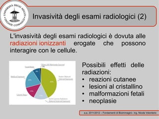 Invasività degli esami radiologici (2)

L'invasività degli esami radiologici è dovuta alle
radiazioni ionizzanti erogate che possono
interagire con le cellule.

                          Possibili effetti delle
                          radiazioni:
                          ● reazioni cutanee
                          ● lesioni al cristallino
                          ● malformazioni fetali
                          ● neoplasie
                           a.a. 2011/2012 – Fondamenti di Bioimmagini– ing. Nicola Volonterio
 