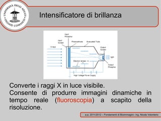 Intensificatore di brillanza




Converte i raggi X in luce visibile.
Consente di produrre immagini dinamiche in
tempo reale (fluoroscopia) a scapito della
risoluzione.
                       a.a. 2011/2012 – Fondamenti di Bioimmagini– ing. Nicola Volonterio
 