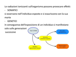 Le radiazioni ionizzanti sull’organismo possono provocare effetti:
- SOMATICI
si osservano nell’individuo esposto e si esauriscono con la sua
morte
- GENETICI
in conseguenza dell’esposizione di un individuo si manifestano
solo sulle generazioni
successive
 