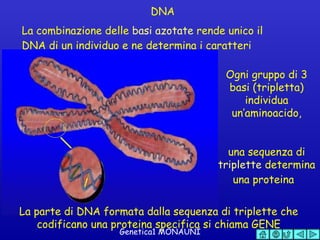 Fondamenti Di Genetica1 | PPT
