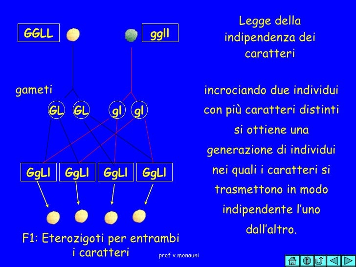 Fondamenti Di Fondamenti Di
