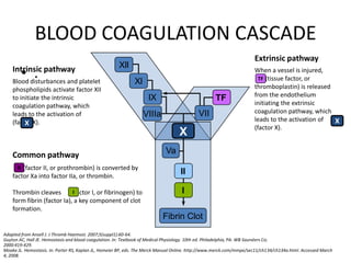 BLOOD COAGULATION CASCADE
• .
1
Intrinsic pathway
Blood disturbances and platelet
phospholipids activate factor XII
to initiate the intrinsic
coagulation pathway, which
leads to the activation of
(factor X).X
Extrinsic pathway
When a vessel is injured,
(tissue factor, or
thromboplastin) is released
from the endothelium
initiating the extrinsic
coagulation pathway, which
leads to the activation of
(factor X).
TF
X
Common pathway
(factor II, or prothrombin) is converted by
factor Xa into factor IIa, or thrombin.
Thrombin cleaves (factor I, or fibrinogen) to
form fibrin (factor Ia), a key component of clot
formation.
II
I
Adapted from Ansell J. J Thromb Haemost. 2007;5(suppl1):60-64.
Guyton AC, Hall JE. Hemostasis and blood coagulation. In: Textbook of Medical Physiology. 10th ed. Philadelphia, PA: WB Saunders Co;
2000:419-429.
Moake JL. Hemostasis. In: Porter RS, Kaplan JL, Homeier BP, eds. The Merck Manual Online. http://www.merck.com/mmpe/sec11/ch134/ch134a.html. Accessed March
4, 2008.
Fibrin Clot
Xll
Xl
lX
VIIIa VII
TF
Va
II
I
X
 