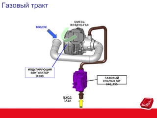 Газовый тракт
ВОЗДУХ

СМЕСЬ
ВОЗДУХ-ГАЗ

МОДУЛИРУЮЩИЙ
ВЕНТИЛЯТОР
(EBM)

ГАЗОВЫЙ
КЛАПАН SIT
848_135

ВХОД
ГАЗА

 