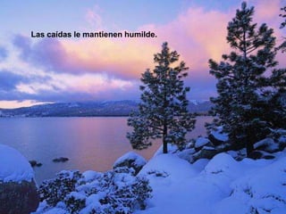 Las caídas le mantienen humilde.
 