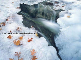 Las pruebas le mantiene fuerte.
 